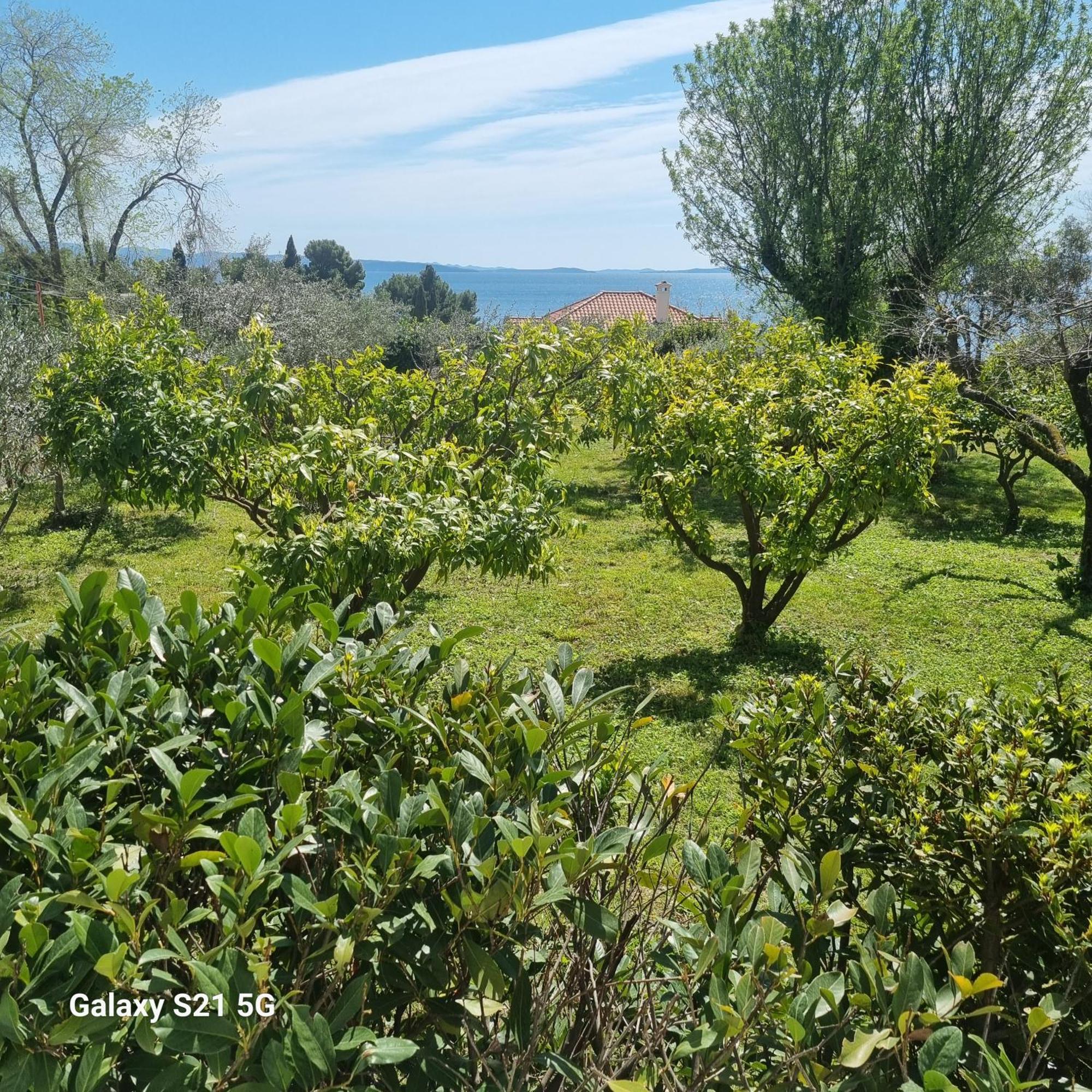 ספליט Apartment Green Oasis מראה חיצוני תמונה